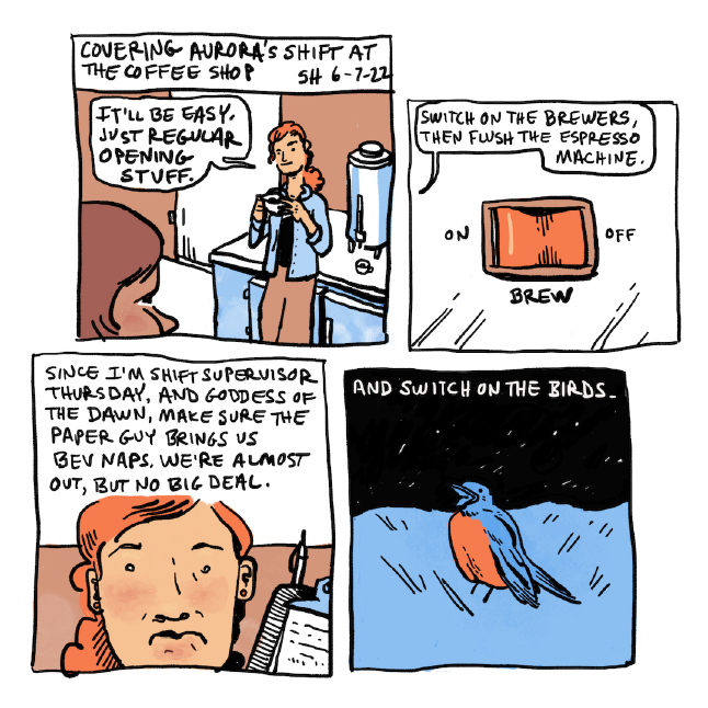 Aurora introductory cartoon